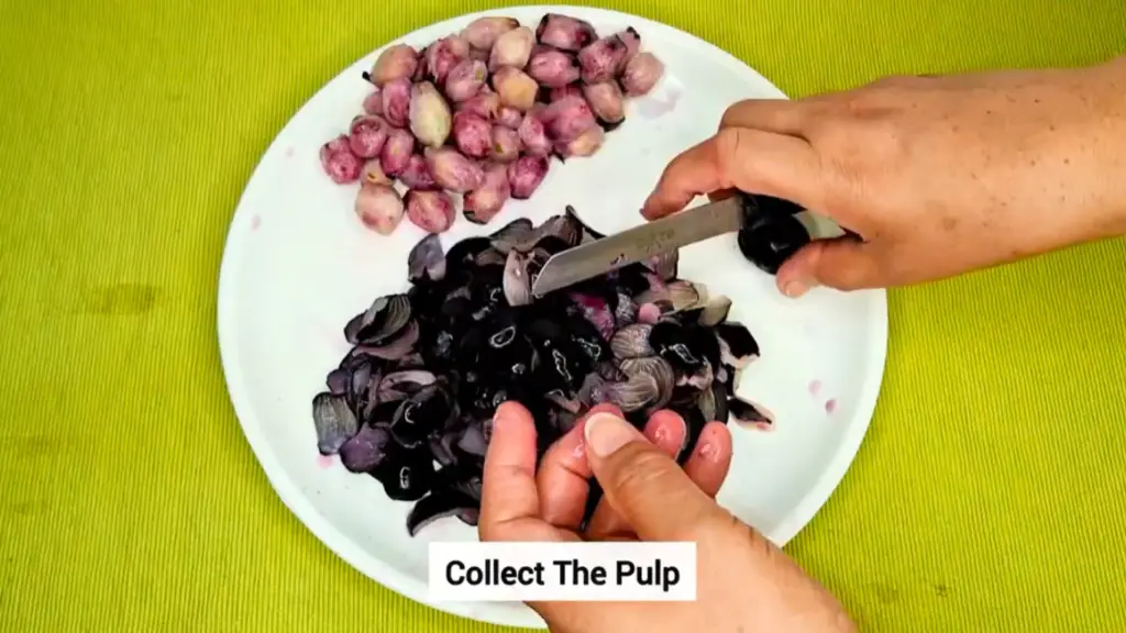 jamun bites