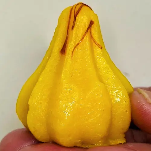 mango modak