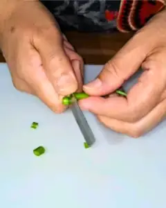 green chilli hack