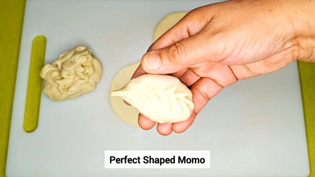 pan fried momos