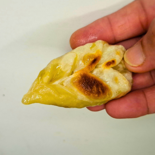 pan fried momos